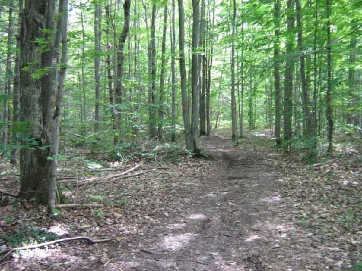 Black Mountain Recreational Area Vacation Rental Cheboygan Exterior foto